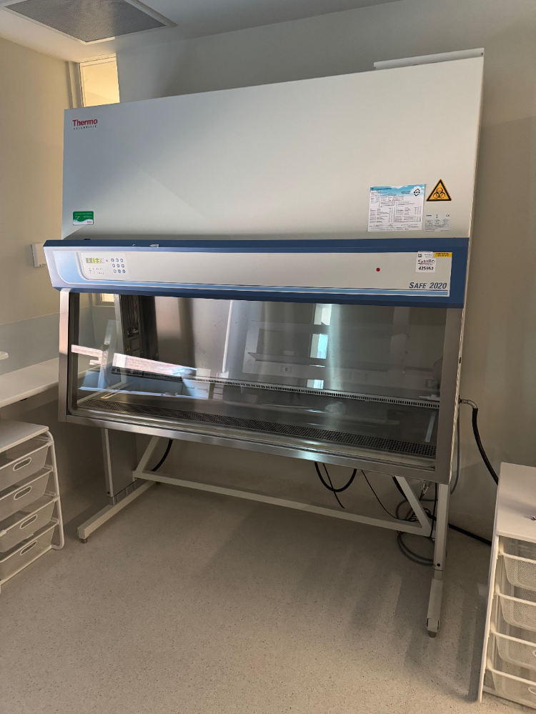 Image of Thermo Safe 2020 6' BioSafety Cabinet